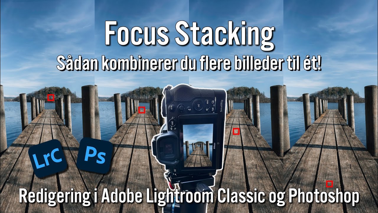 Focus Stacking - Sådan får du skarphed i hele dit billede!