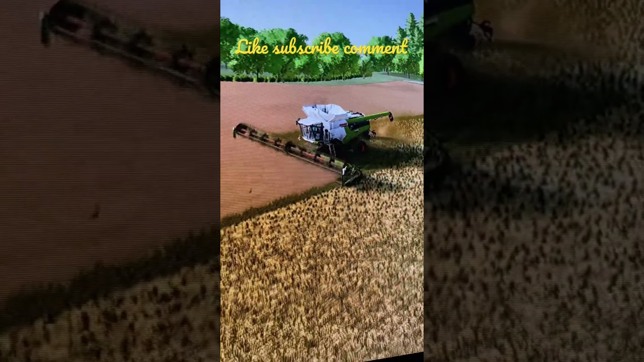 Canola harvest-Fs22