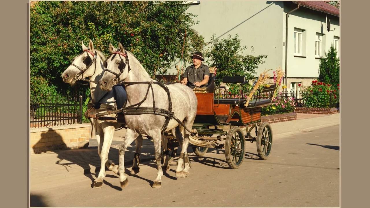 Dożynki wiejskie w Łubnicy