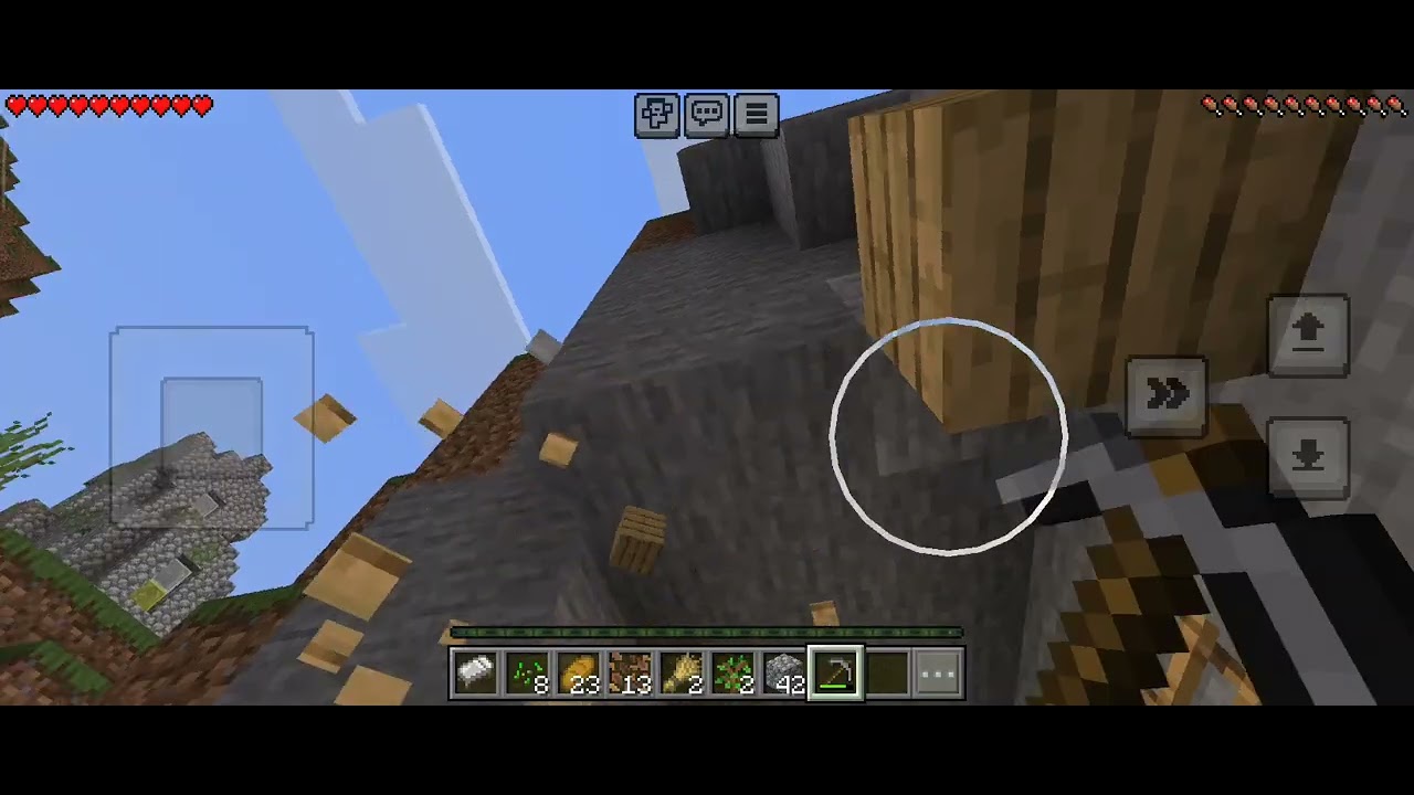 Let's play with me. Minecraft