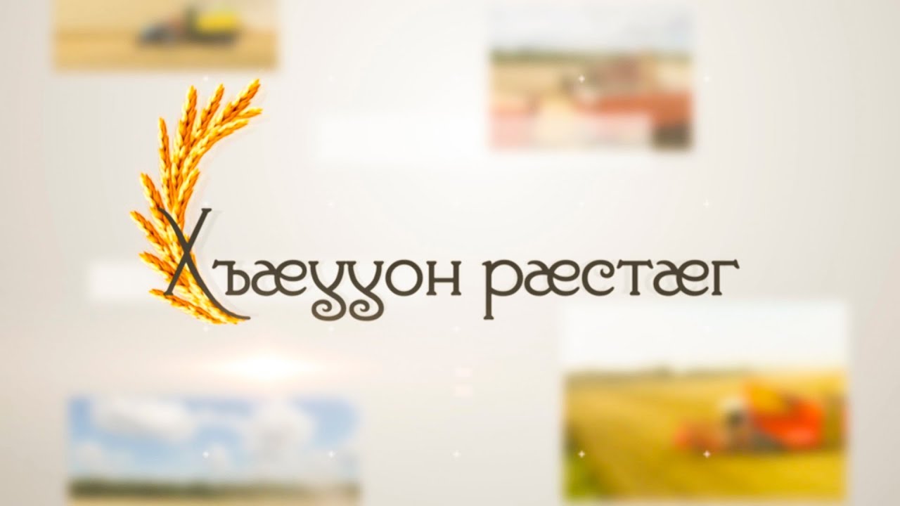 «Хъæууон рæстæг». Цабиты Валентинайы алӕвӕрд.Орчъосан. 13.08.2019.