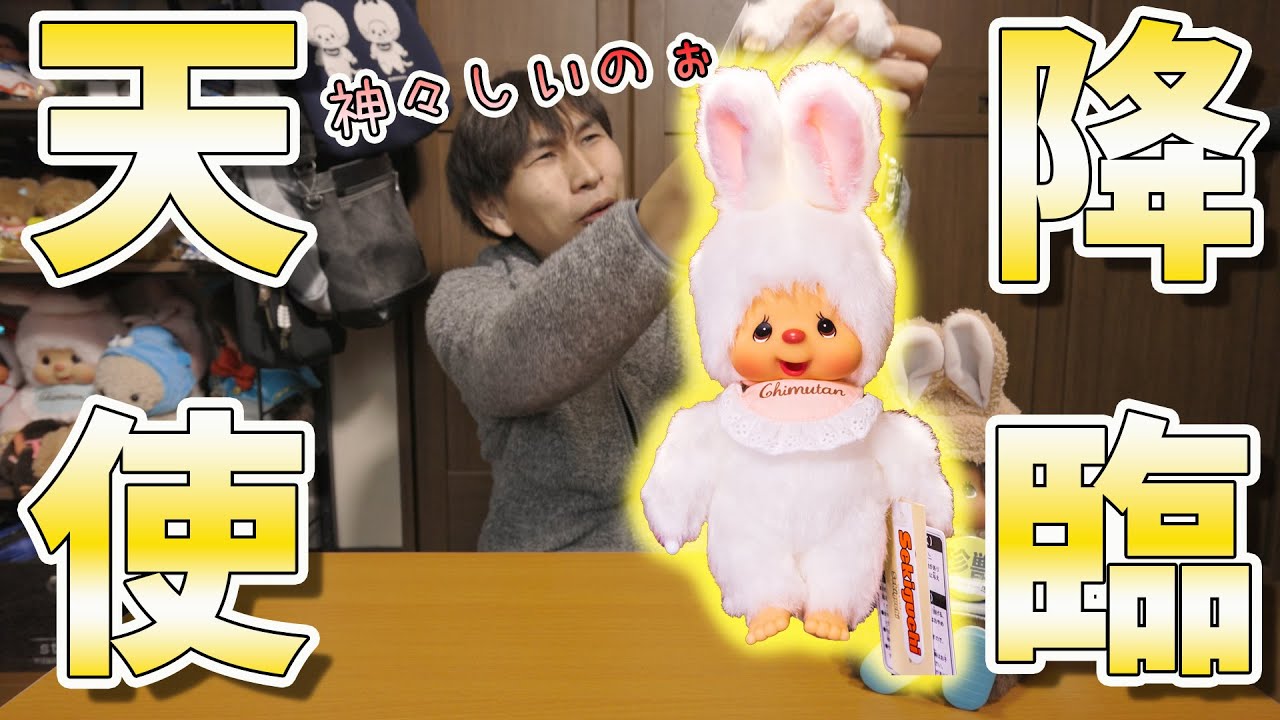 天使降臨！モンチッチのお友達チムたんのホワイトバージョンお迎えしたら神々しすぎてたまらなかった件