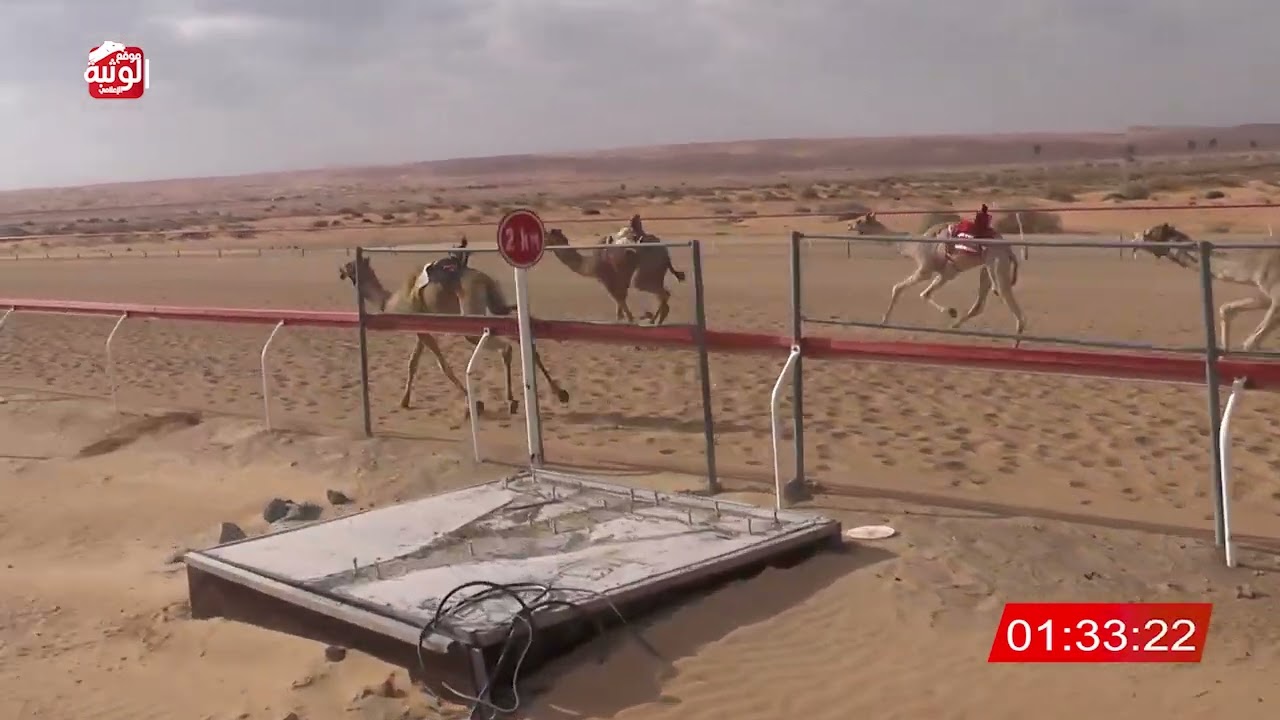 ش 21 (متعبه) لـ عيسي طه 4:37 , شارة الديوان 2026/1/17 حقايق الجبيب