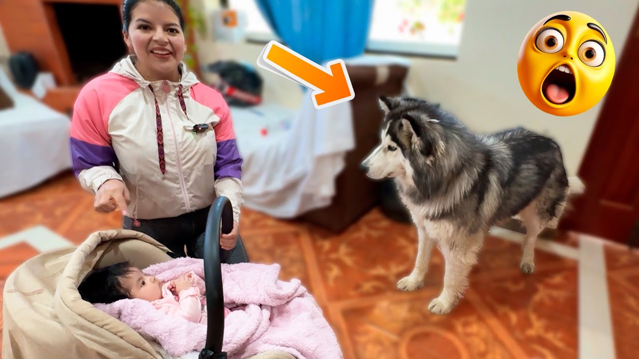 Gabytha Vlogs les presento a sus hij@s de 4 patas a Marianne