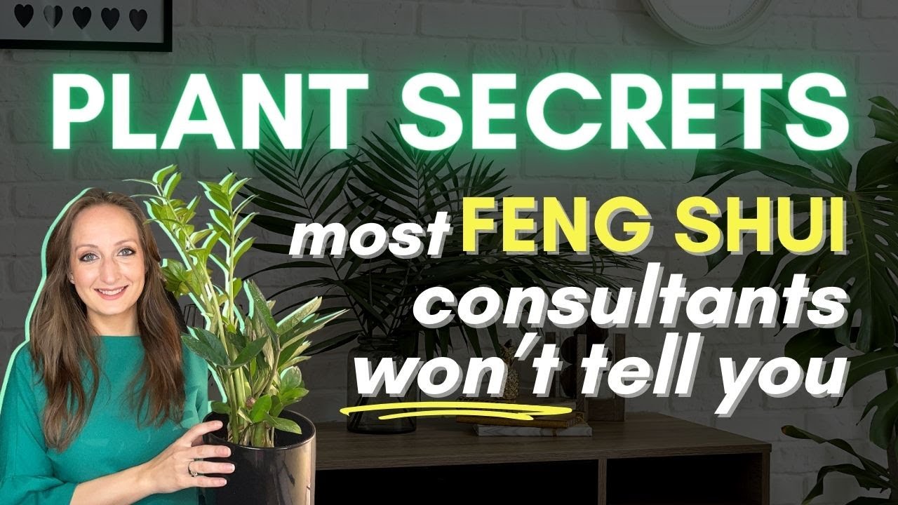 How To Use Plants For Good Feng Shui