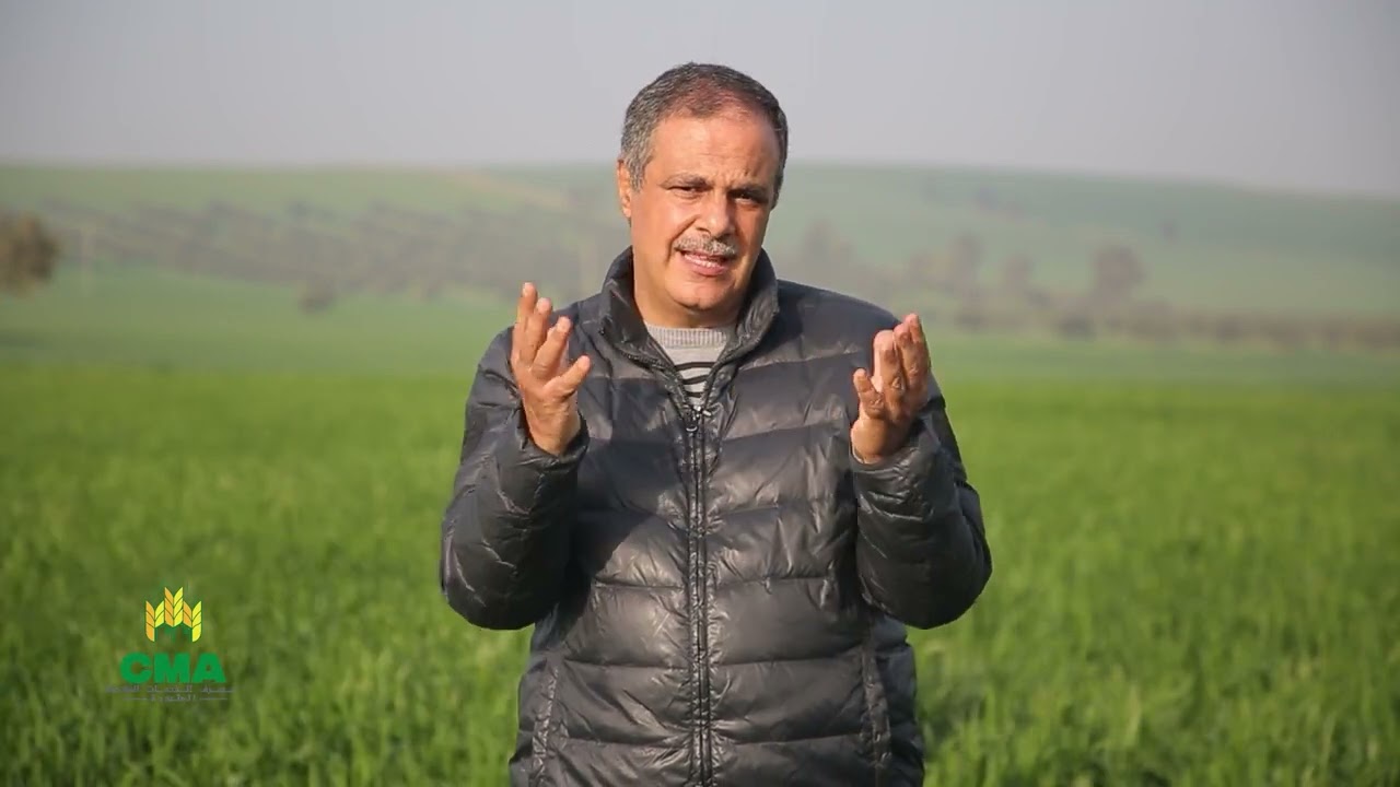 نصائح CMA