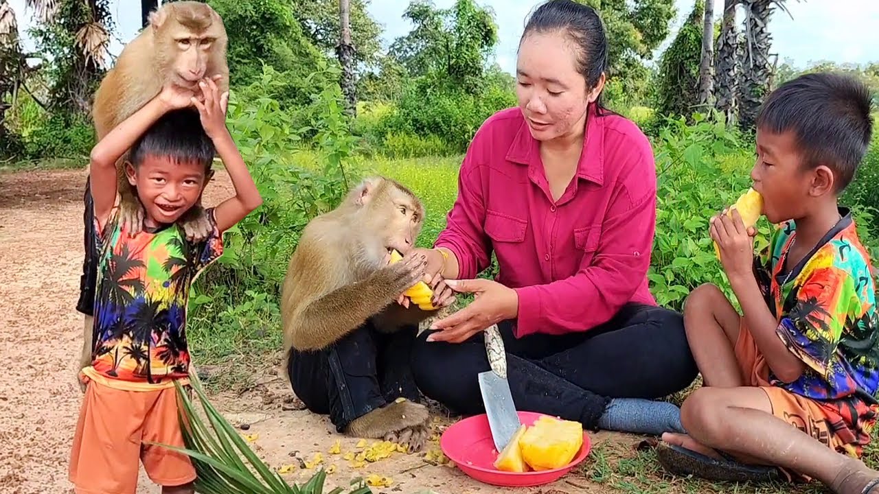 Smart Video Of SokYaa & Abii Bring Pineapple To Mother Breaking It