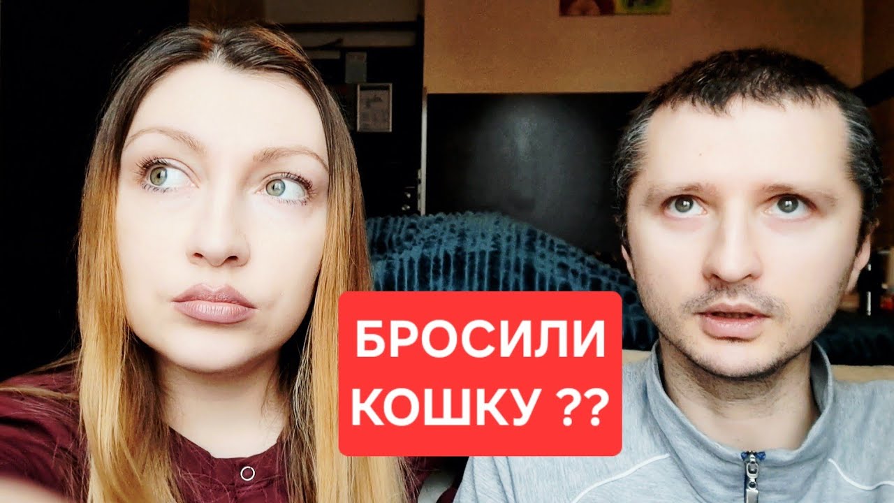 ГЕРМАНИЯ ‼️ ПОЧЕМУ НЕ ВЫВЕЗЛИ КОШЕК ⁉️  #войнаукраина 