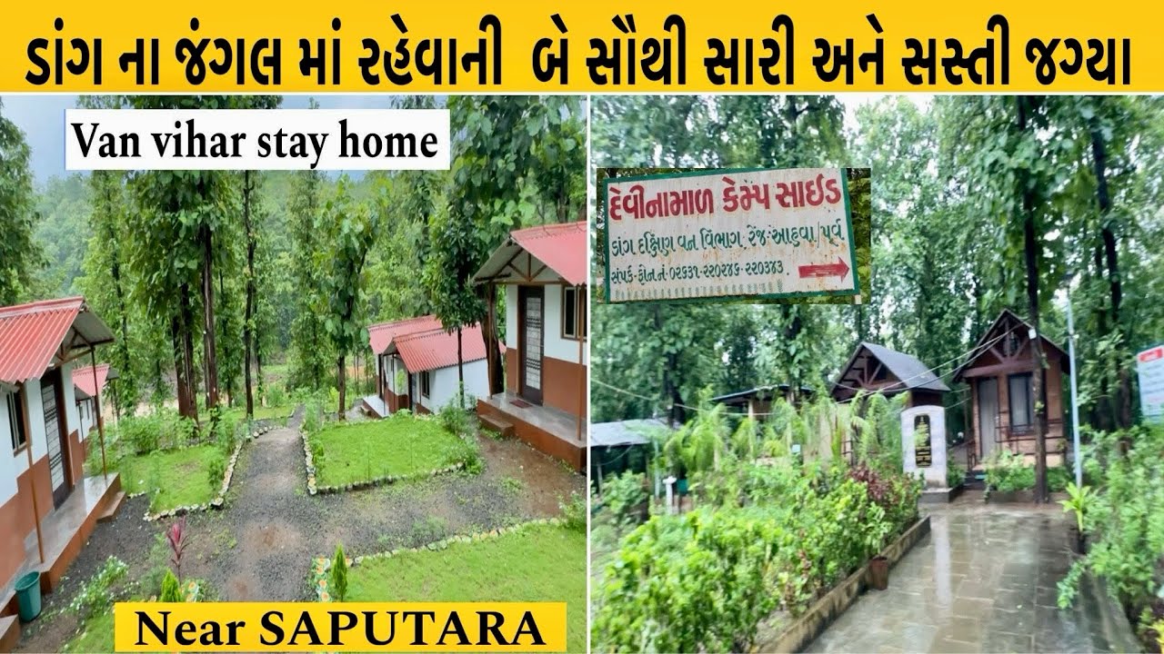 ખાઇ,પીય ,કરો જલસા મનાલી જેવી જંગલ માં રેવાની મજા હવે ડાંગ માં પણ Best stay in saputar in dang 