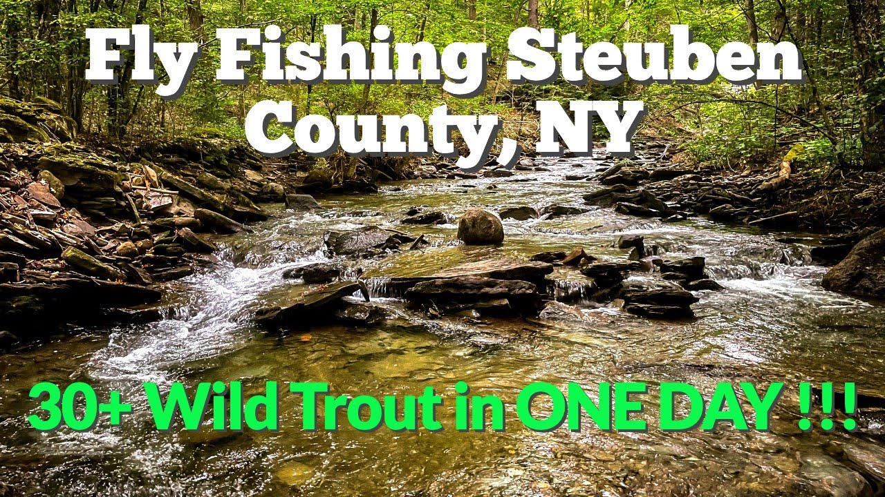 30+ WILD TROUT in ONE DAY!!! - Fly Fishing Steuben County, NY