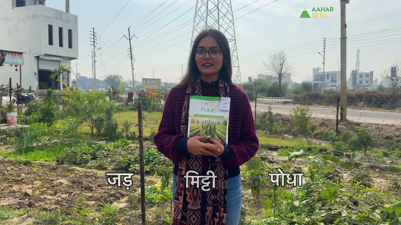 गन्ने की बढ़वार का सीक्रेट