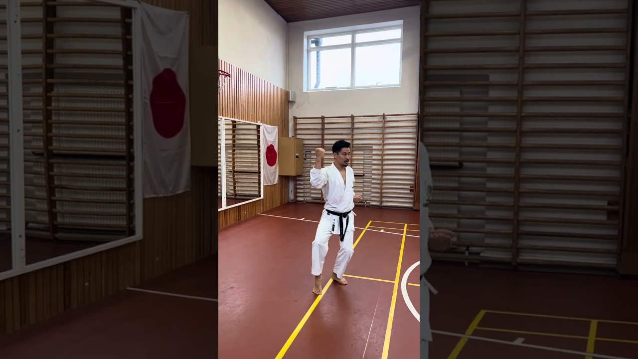 Junro godan slowly by Arimoto-Sensei #junrogodan #karate #kata #shotokan #空手道 #日本空手松涛連盟