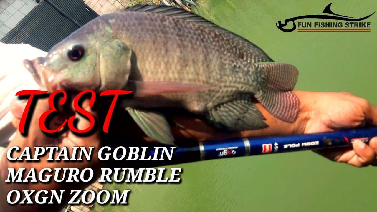 TES TIGA TEGEK SEKALIGUS CAPTAIN GOBLIN MAGURO RUMBLE OXGN ZOOM NILA MANIA