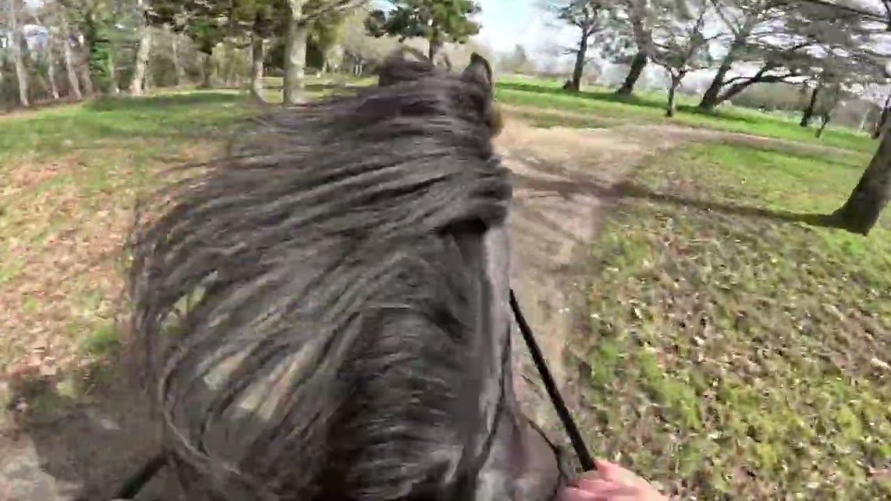 Randonnée à cheval avec GoPro Héro 11