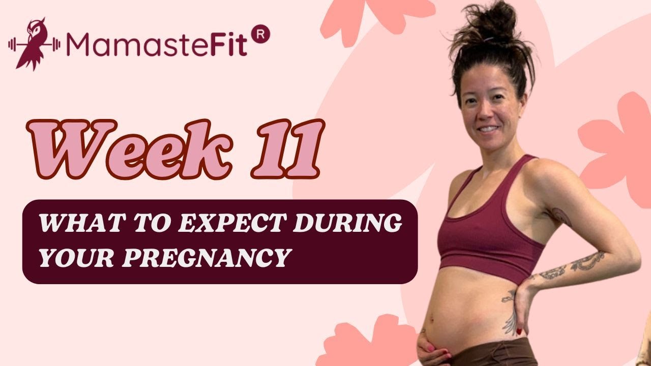 Week 11: What to Expect During Your Pregnancy + Gina's Pregnancy Journey!