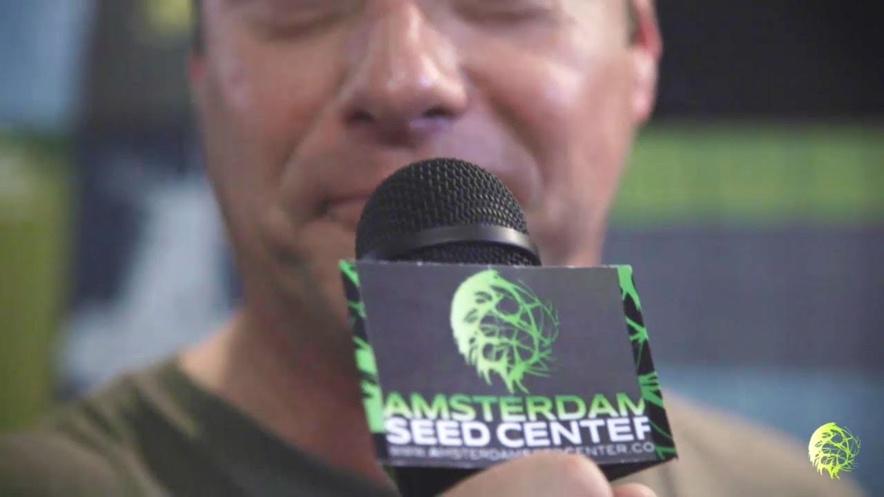 Spannabis 2013 - Amsterdam Seed Center | Seedbanks Showcase