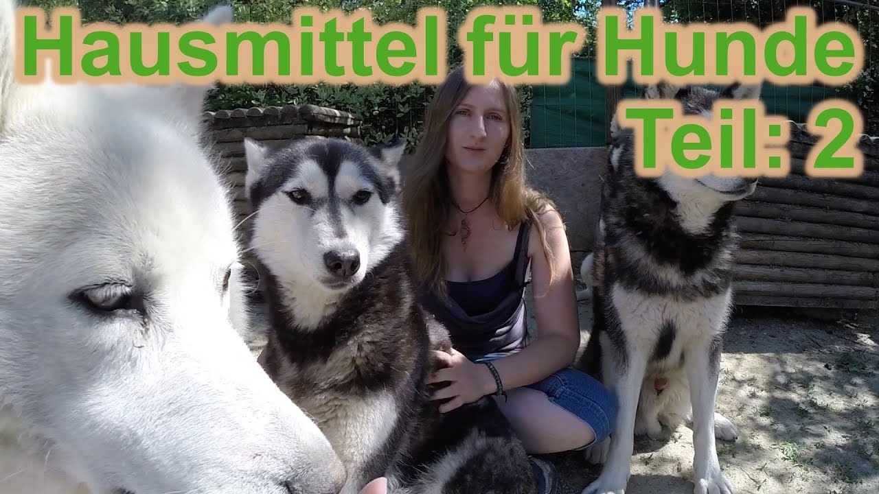 Hausmittel für Hunde / Alternative Medizin Teil 2 / Kräuter für Hunde / Nature Trails