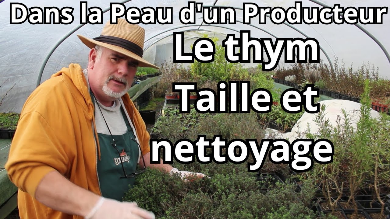 En Direct de la Pépinière : Mon Tutoriel Complet sur le nettoyage du Thym!