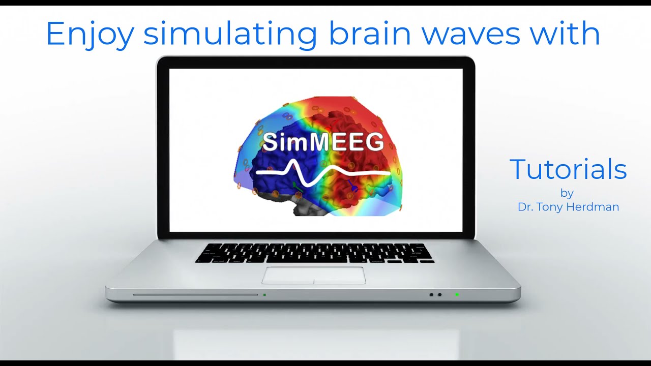 How to use SimMEEG in Brainstorm