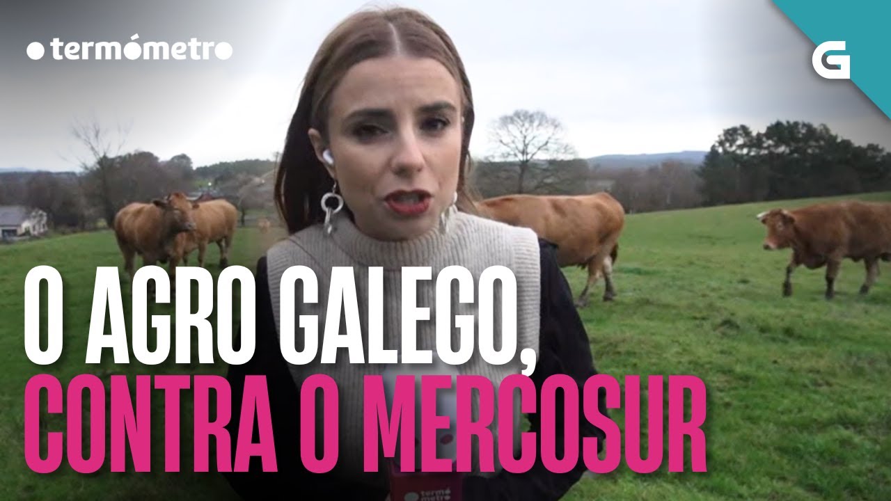 🐄🚜O AGRO GALEGO, CONTRA O MERCOSUR | O TERM&Oacute;METRO