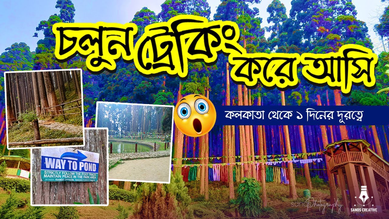 Lamahata Eco Park | Lamahata | Travel Video | Trekking | Darjeeling Tour Guide | Tinchuley
