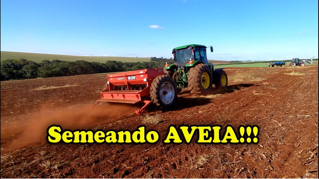 Verd&atilde;o SORRINDO na TD 220 15 linhas com plantio da AVEIA!!!
