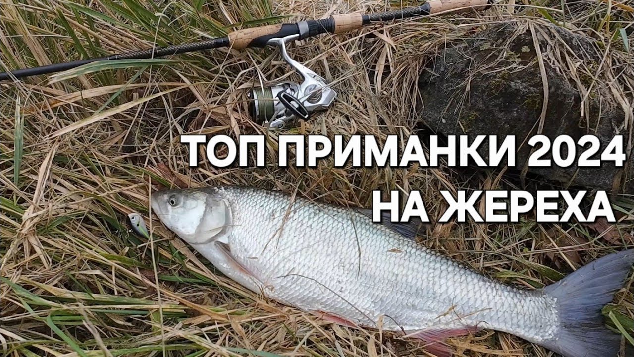 Мой ТОП ПРИМАНОК НА ЖЕРЕХА в 2024! #рыбалканаспиннинг #жерех #ловляжереха
