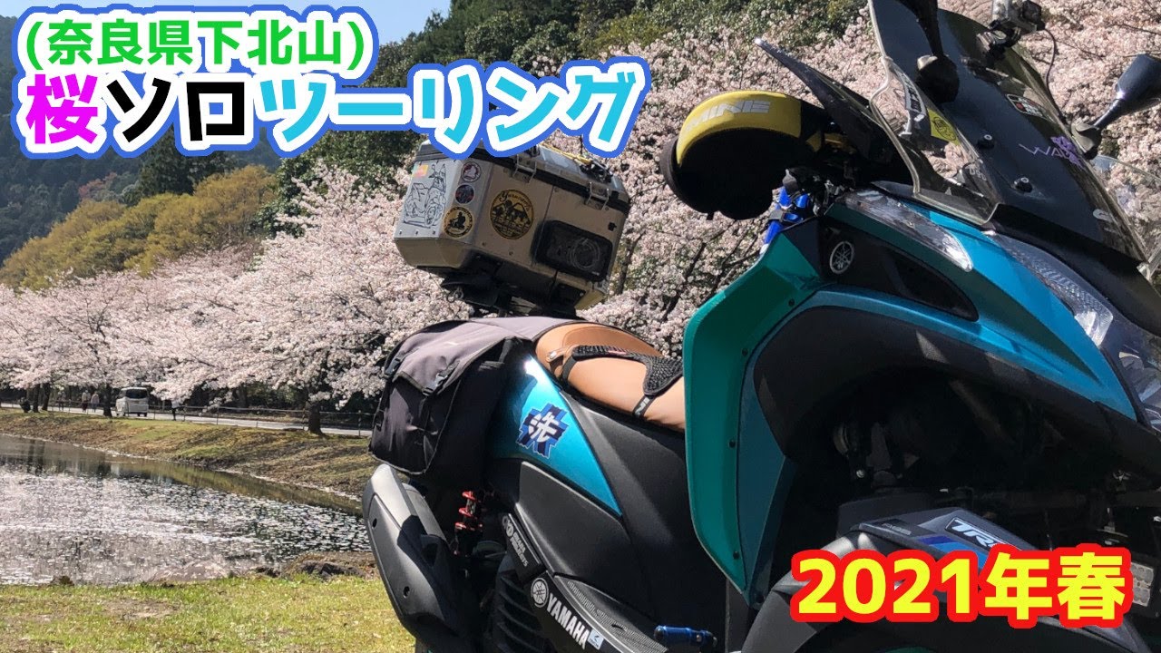 2021年春_下北山桜ソロツーリング【トリシティ155】