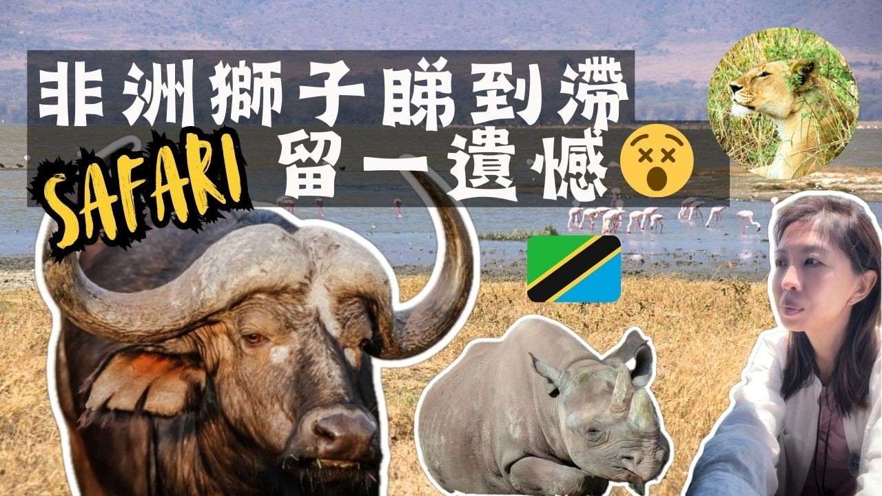 非洲Safari 獅子睇到滯😵 打大佬搵黑犀牛🦏 | Ngorongoro Crater Tanzania