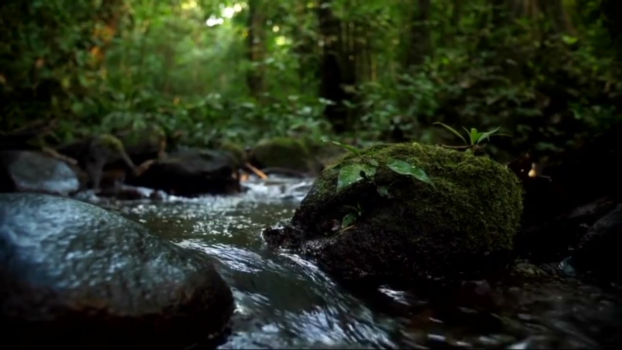 Slaapmuziek, Slaapgeluid van een kabbelend riviertje, water, beekje
