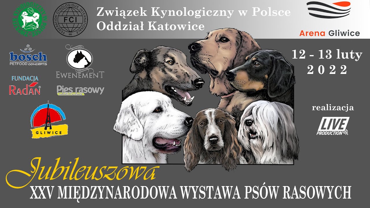 XXV Jubileuszowa Międzynarodowa Wystawa Psów Rasowych oddział Katowice - Sobota FINAŁY