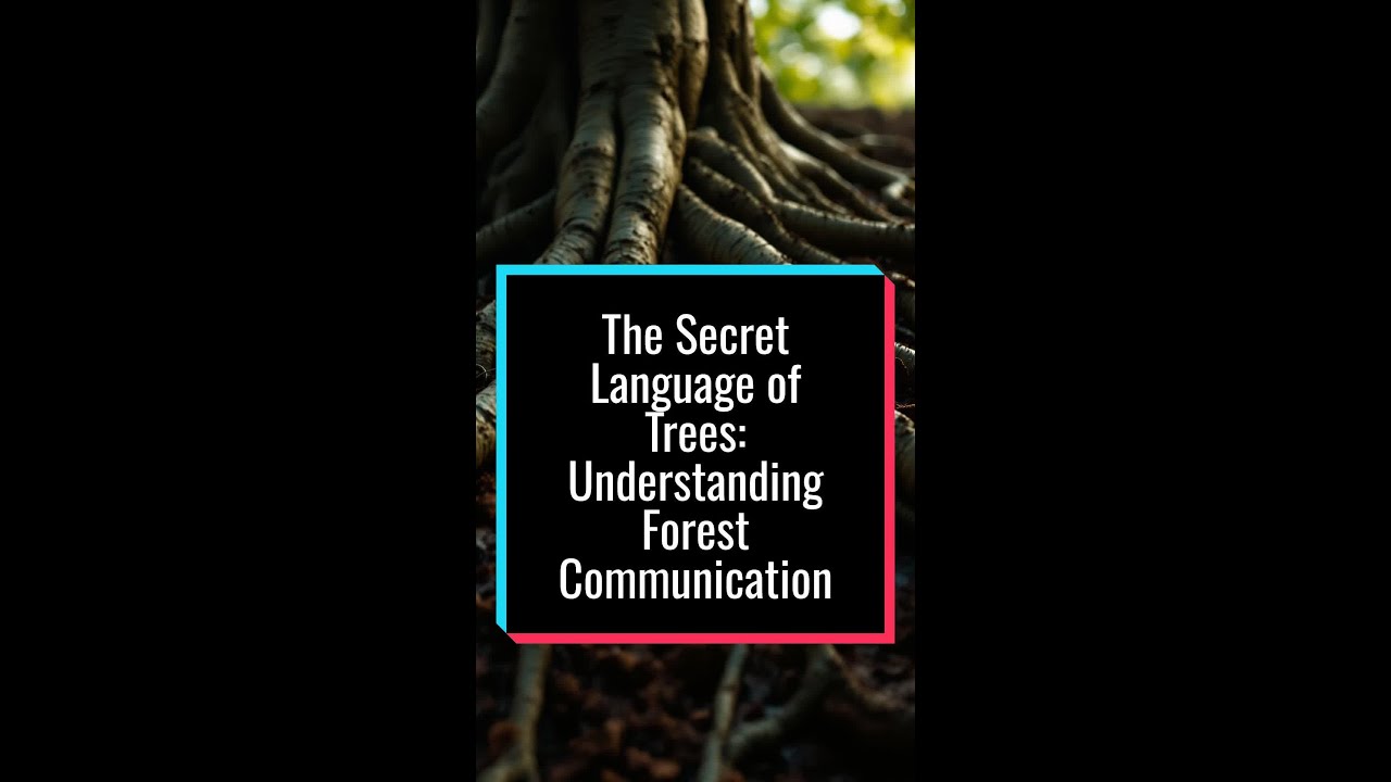 The Secret Language of Trees: Understanding Forest Communication
