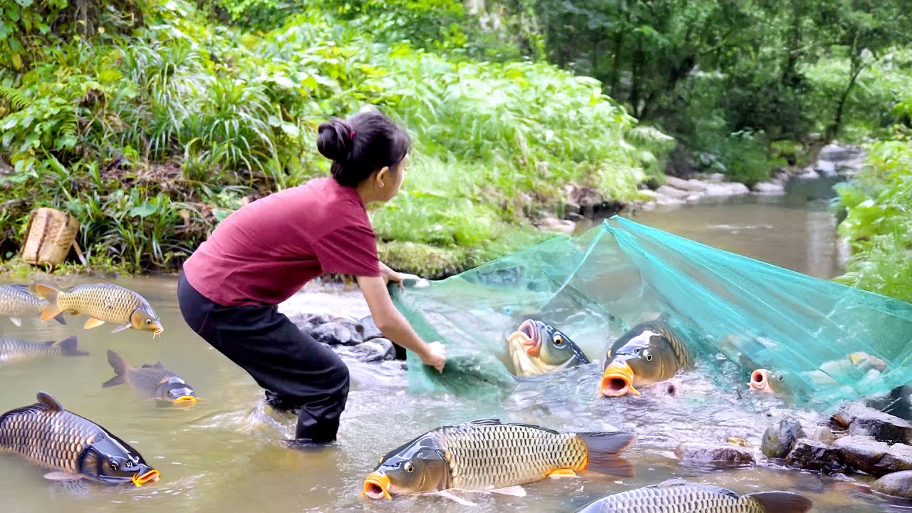Little Girl's Stream Fishing Technique | UNBELIEVABLE FISHING TRAP MADE FROM NET AND ROCKS