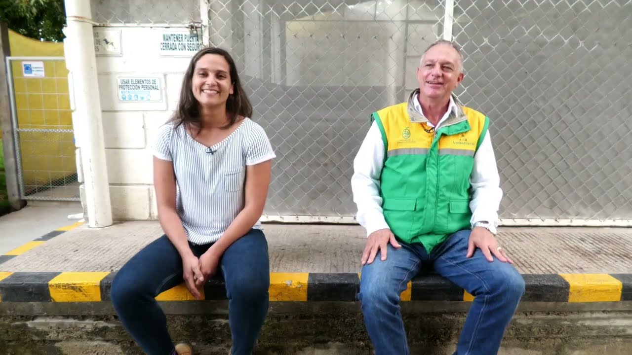 Aprovechamiento de sobrantes de mango para hacer abonos orgánicos - Somos Agricultura Tropical