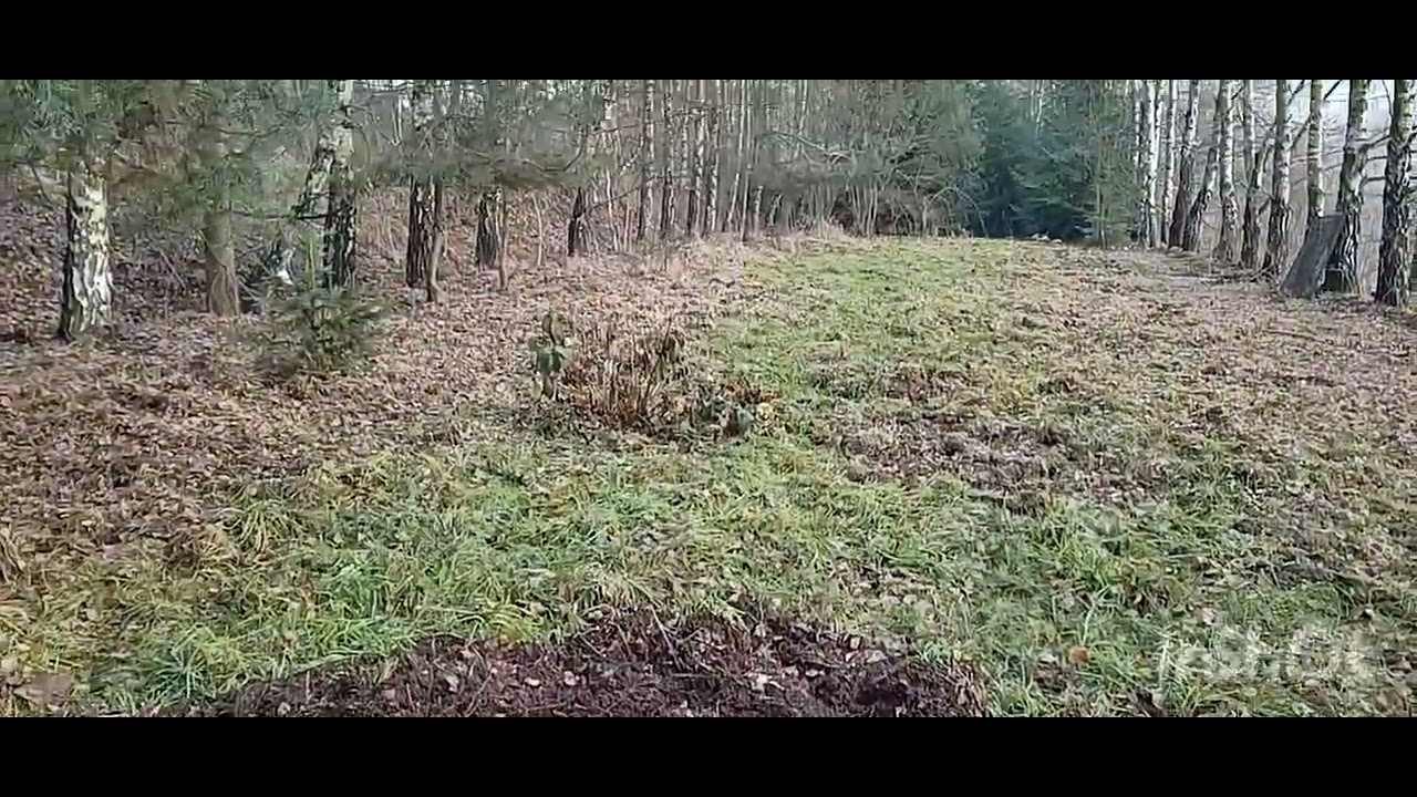 # 370 , Cześć tu Jarosław 😉,, Masakra na działce 😱.