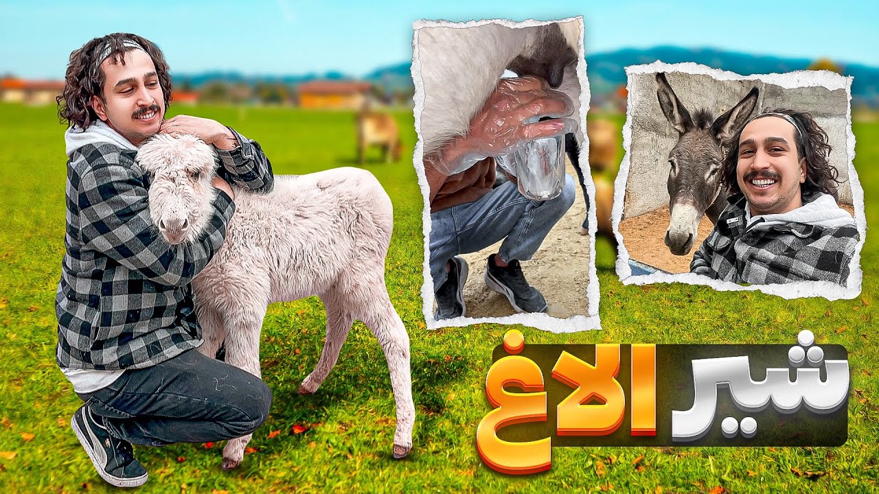 شیر الاغ خوردم ! 🐴🥛| I drank donkey’s milk
