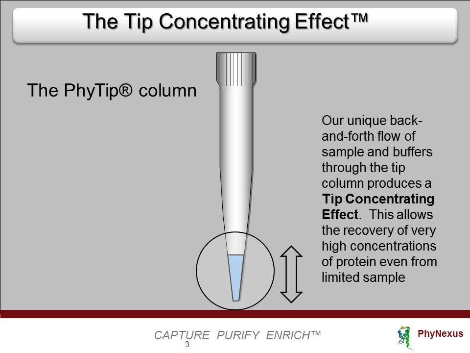 PhyNexus Tip Concentrating Effect. Short version.