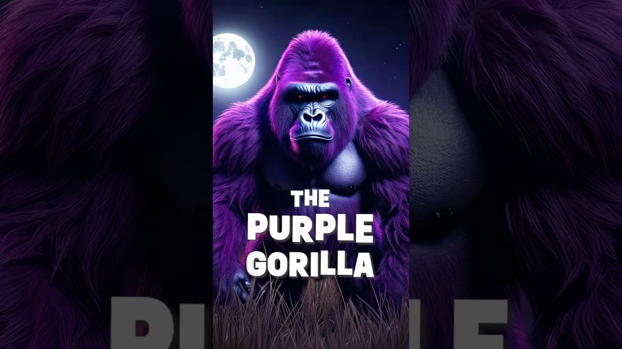 The story of the purple gorilla. #campfirestories #wildfacts #purplegorilla #campfiretales #funny