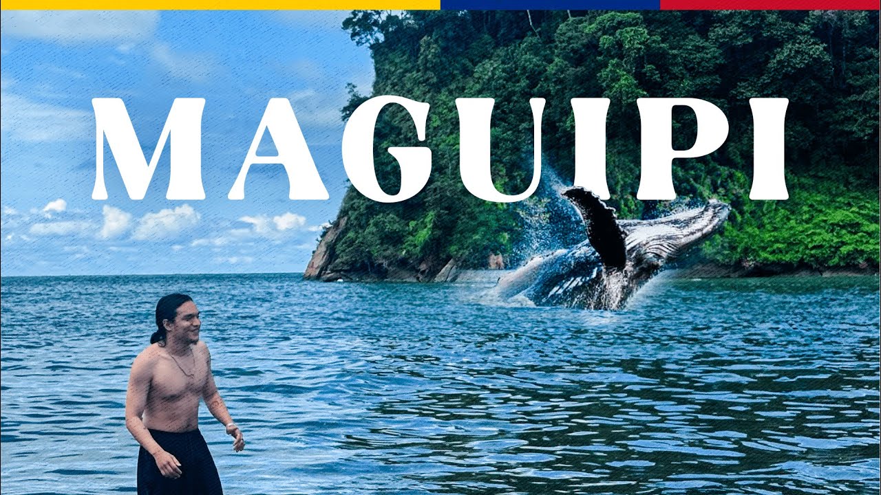 MAGUIPI | El mejor hotel para ver BALLENAS?