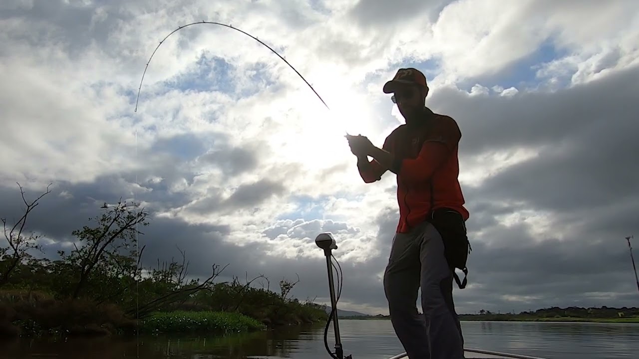 Captura #1 - robalo peva no pincho.