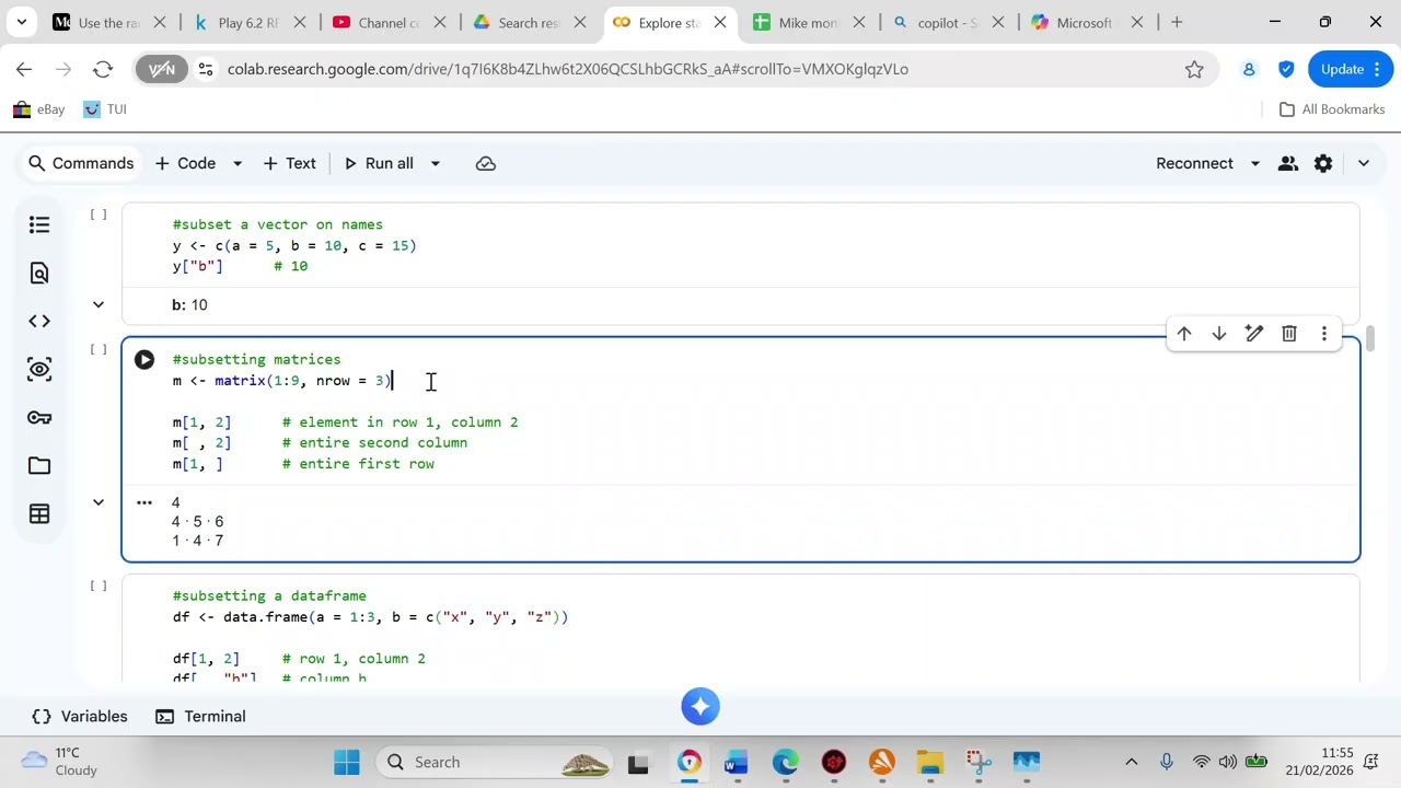 Learn about subsetting in R