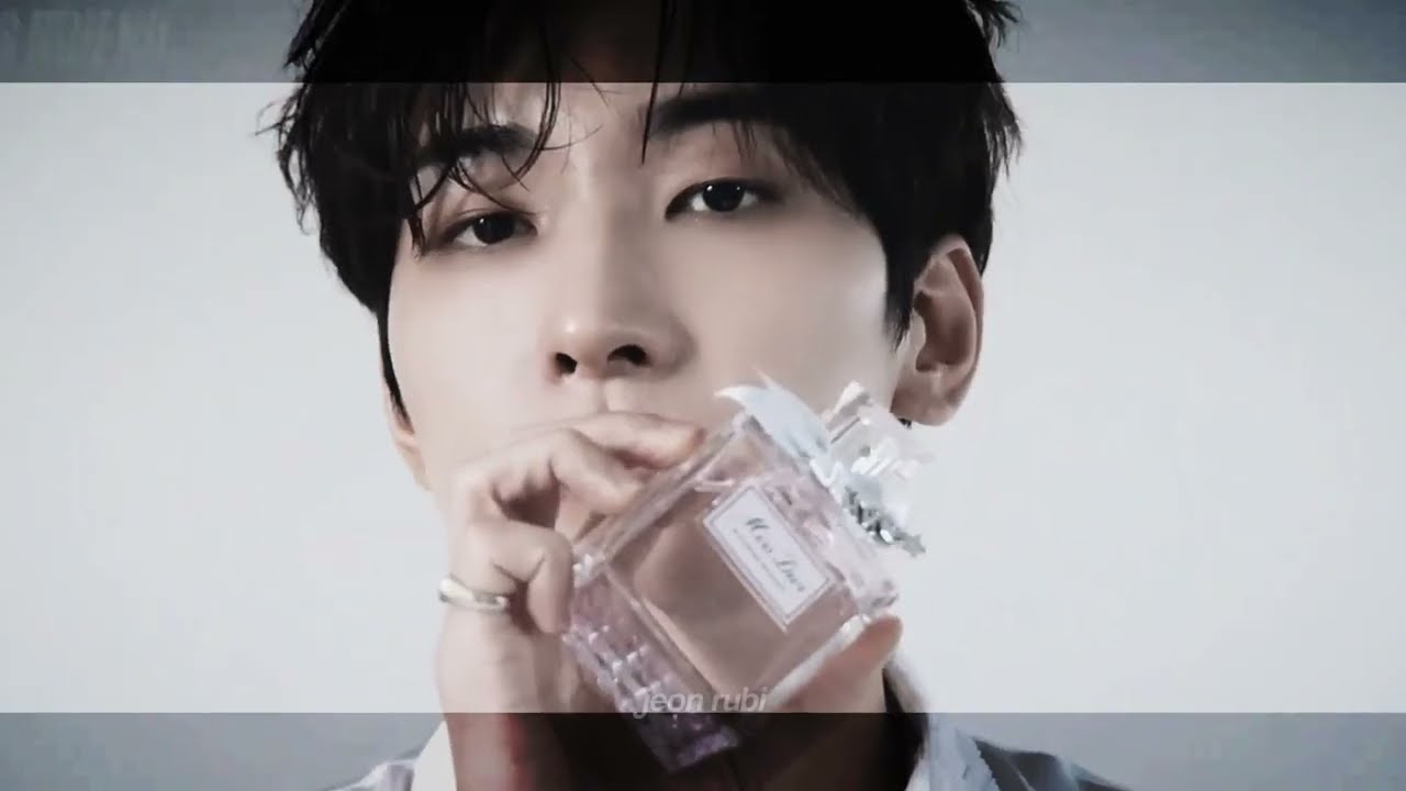 Nonsense - Wonwoo fmv