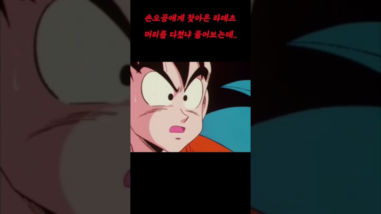 손오공에게 찾아온 라데츠