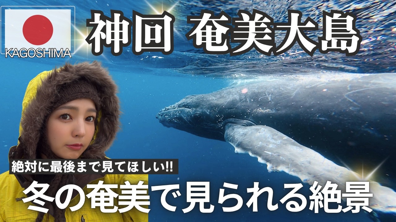 【奄美大島】神回すぎる!!✨感動で号泣したホエールスイム４日間🐋(2026年2月撮影)ホエールスイム３年目にして出会えた親子クジラは是非みてほしいです🐋 #奄美大島 #奄美 #ホエールスイム