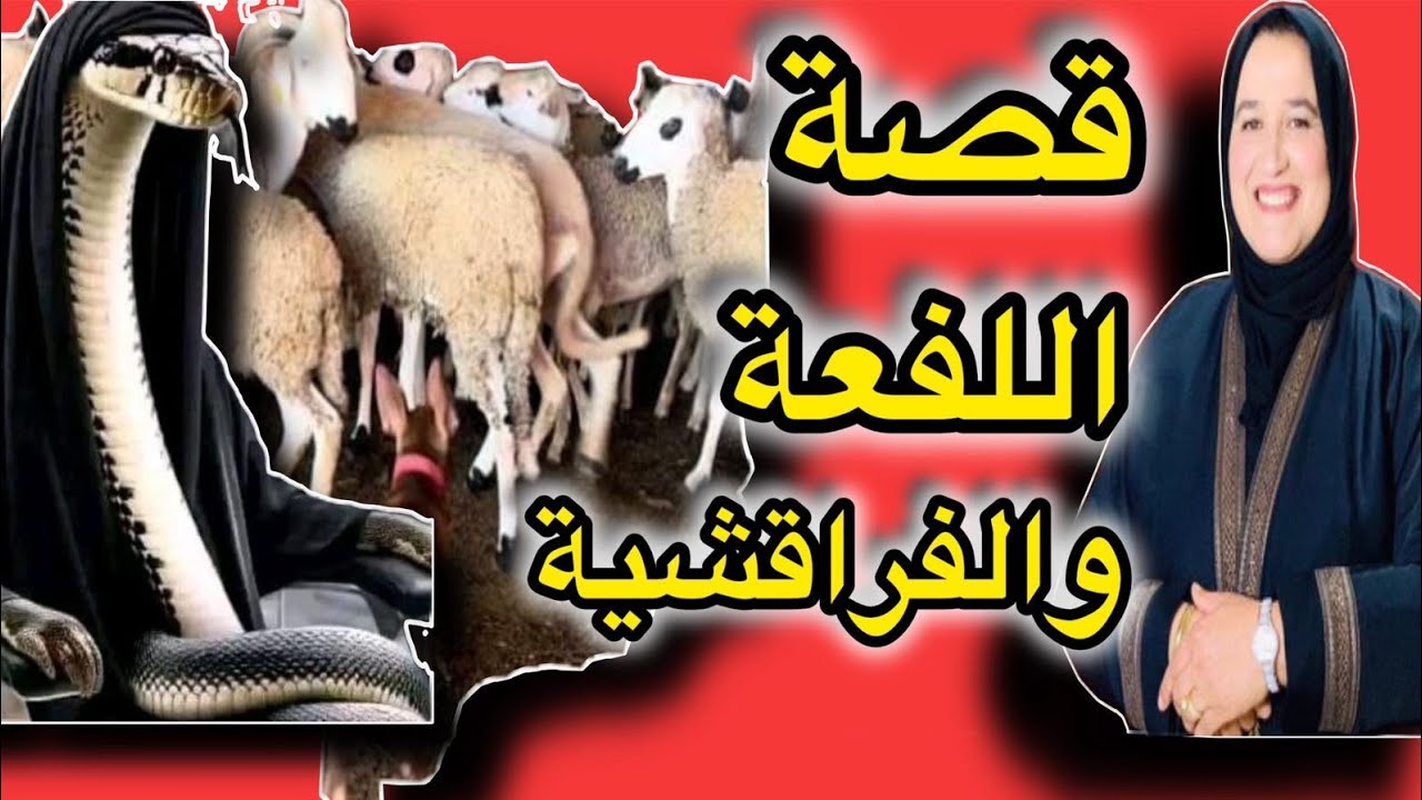 قصة الفراقشية واللفعة #حكايتي_مع_زهرة_البجعدية #قصص_واقعية_مع_زهرة _ستار