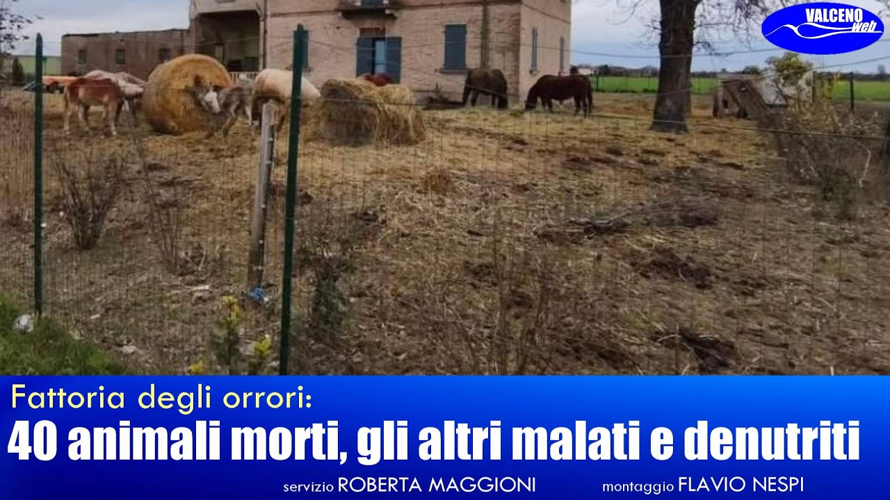 Fattoria degli orrori: 40 animali morti, gli altri malati e denutriti