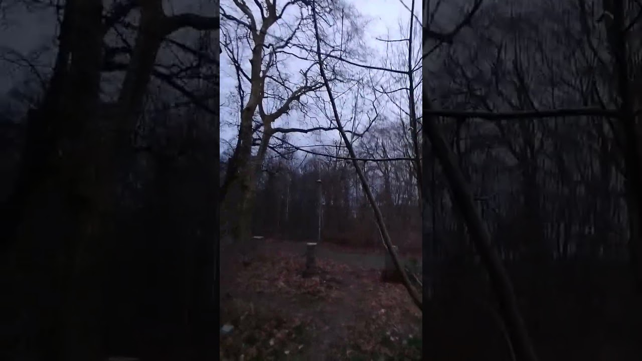 Belvedere w Wolgaście to neogotycki pałacyk.