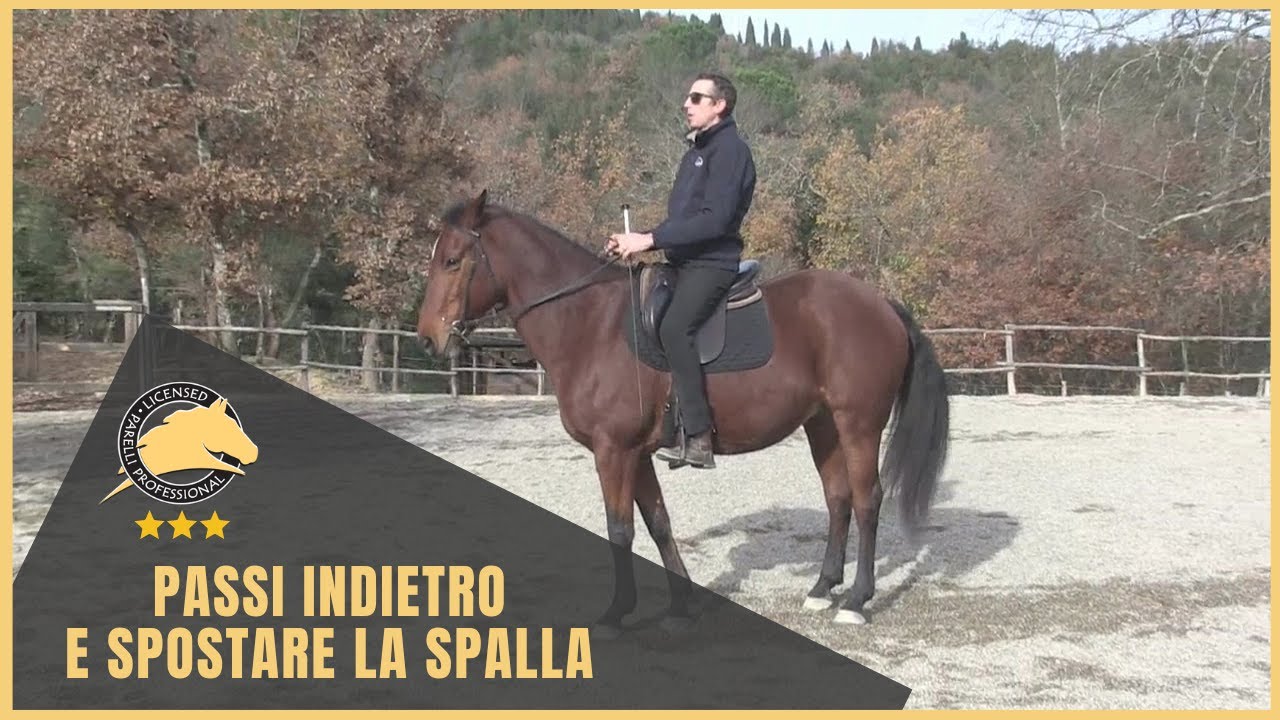 Passi indietro e spostare la spalla: il Rollback