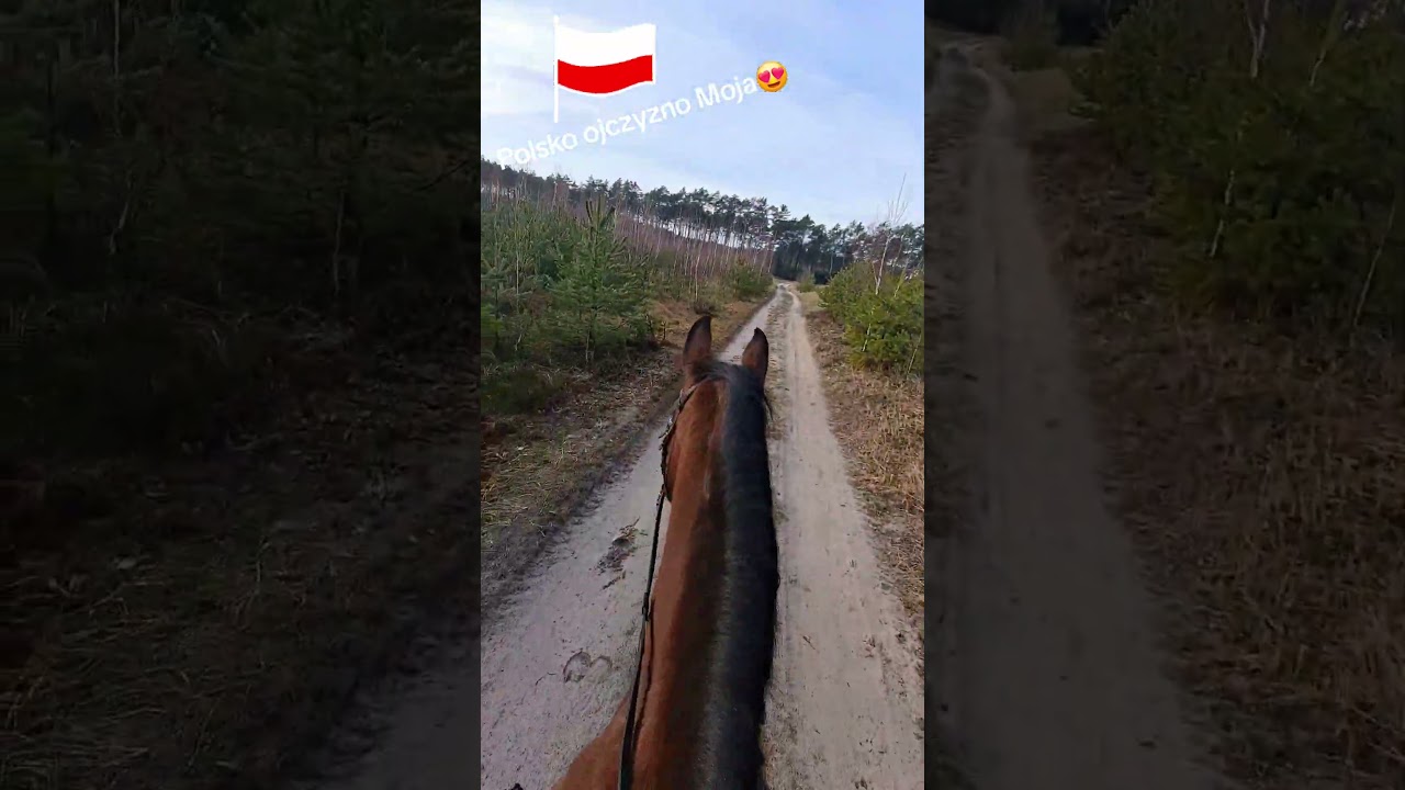 Życie na wsi 