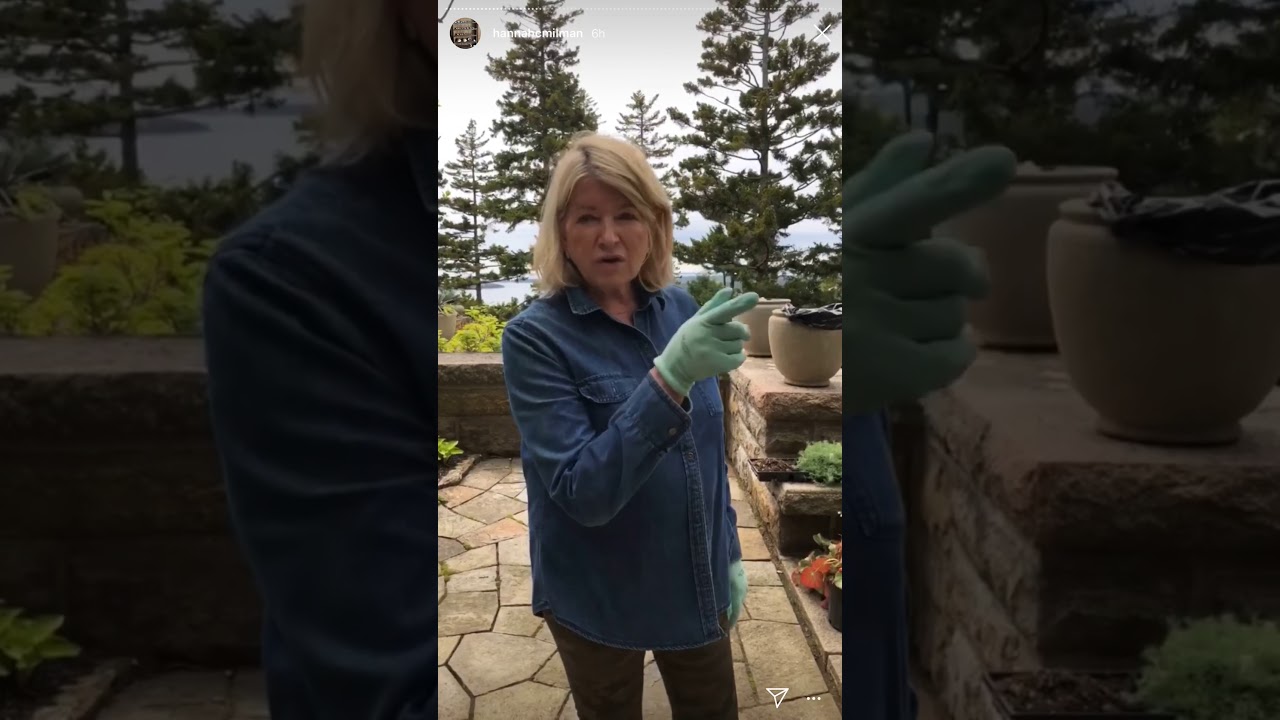 Martha Stewart’s home sky lands